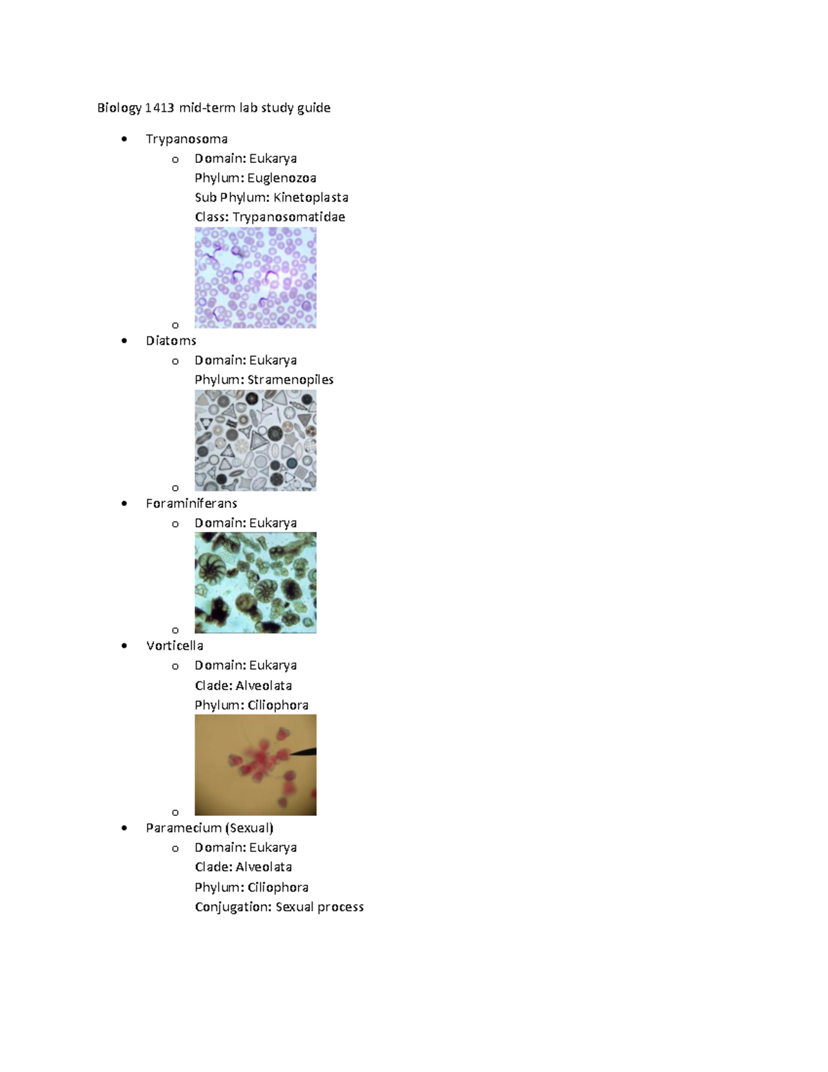 Biology 1413 mid-term lab study guide - o Domain: Eukarya Kingdom ...