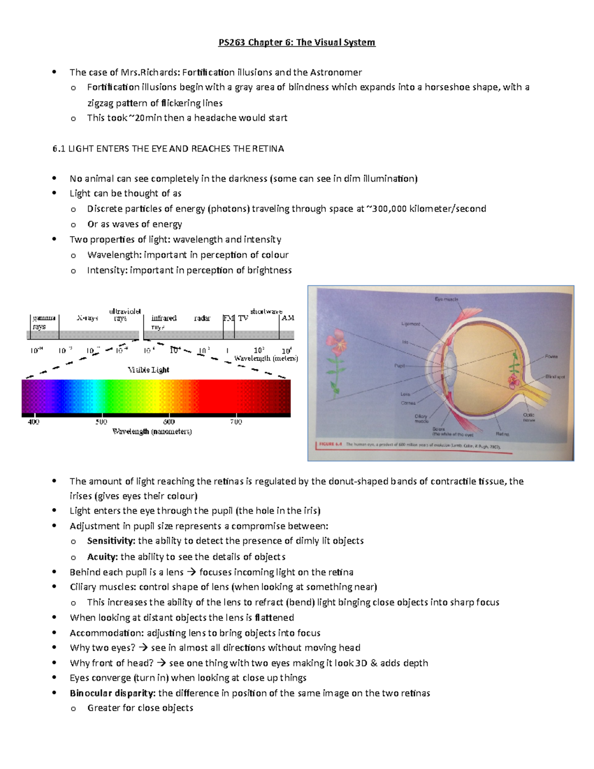 Midterm two study notes - PS263 Chapter 6: The Visual System The case ...