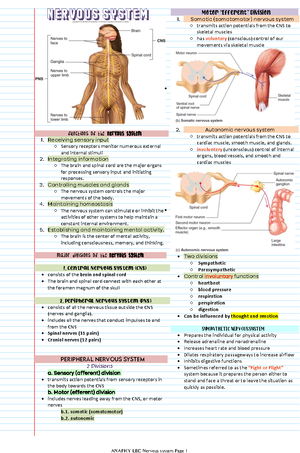 Cardiovascular System Blood Vessels - CARDIOVASCULAR SYSTEM: BLOOD ...