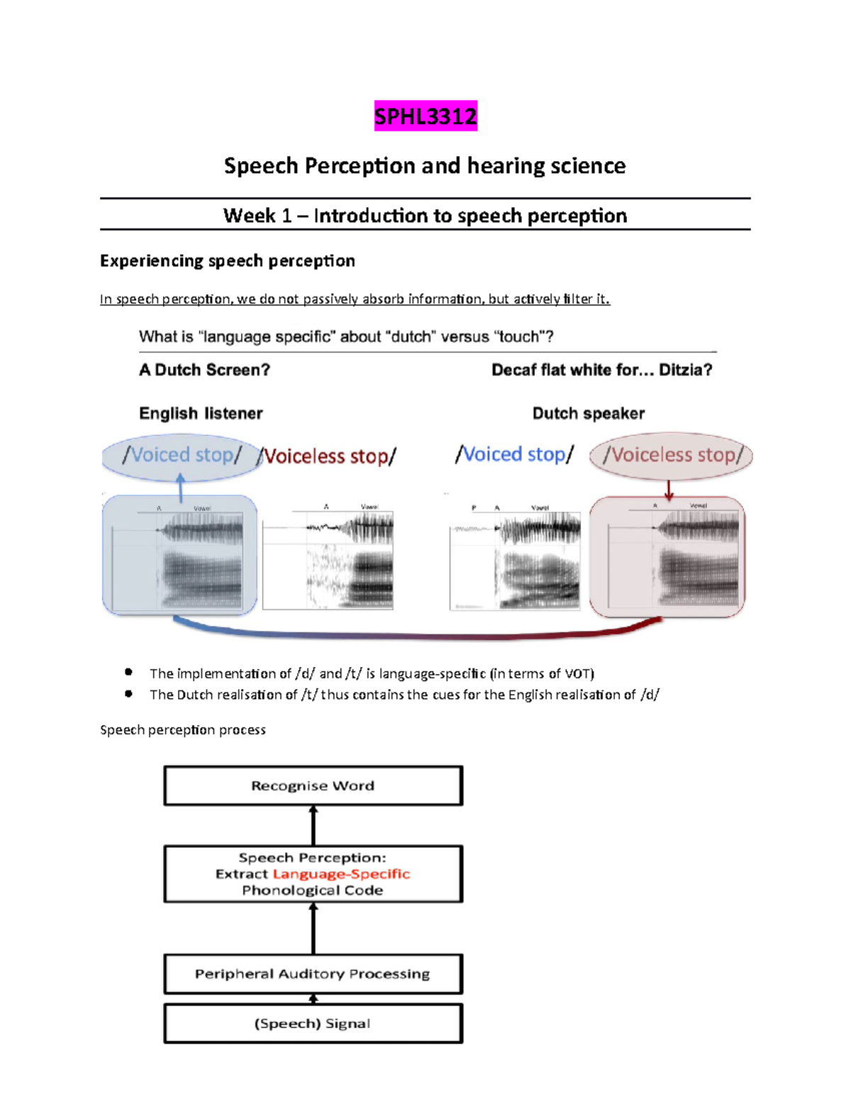 SPH L3312 - Exam notes for entire semester - SPHL Speech