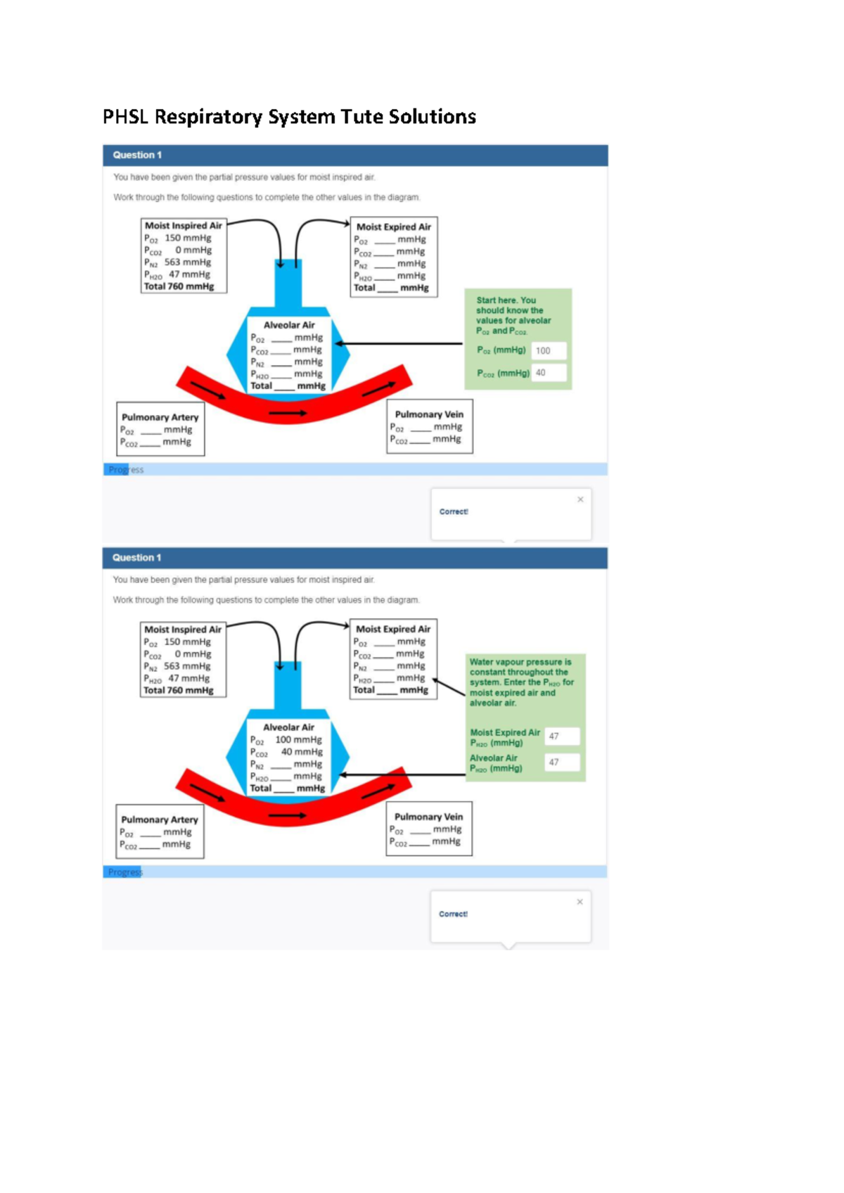 PHSL Respiratory System Tute Solutions - Work through the following ...