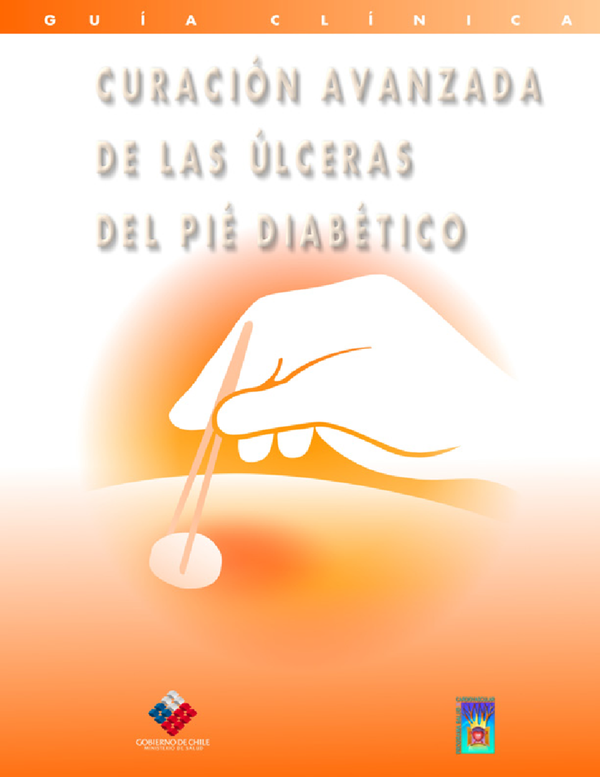 Guia Clinica Curacion Avanzada Pie Diabetico INDICE Introducción