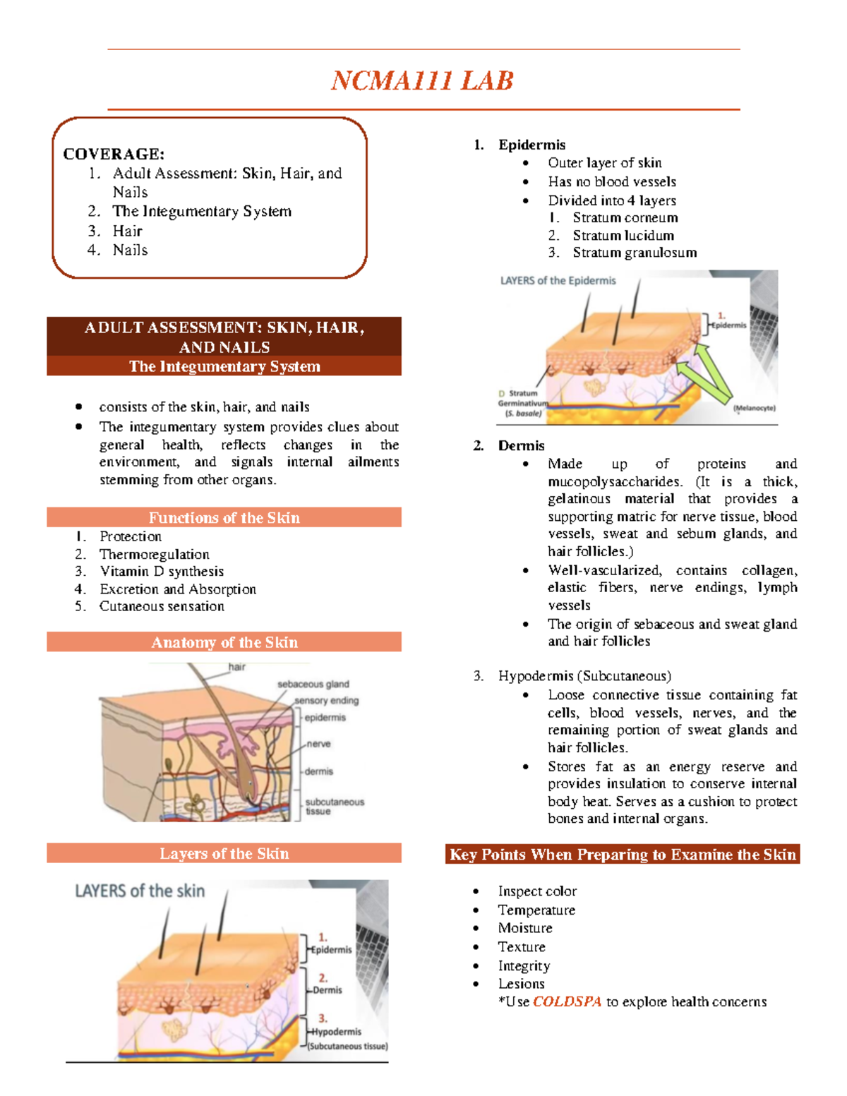 HAS Week 4 Integumentary Assessment - ADULT ASSESSMENT: SKIN, HAIR, AND ...