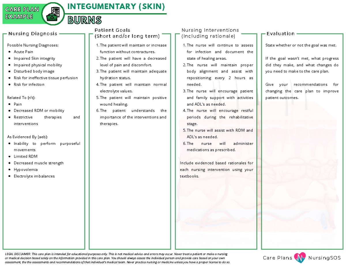 Example - Care Plan - Burns - C a r e P l a n s N u r s i n g S O S ...