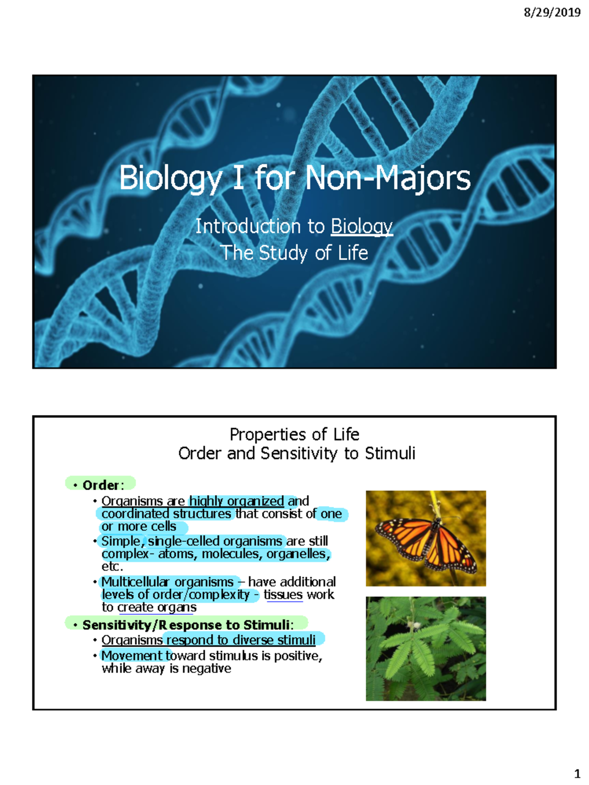 bio 101 assignment solution 2023