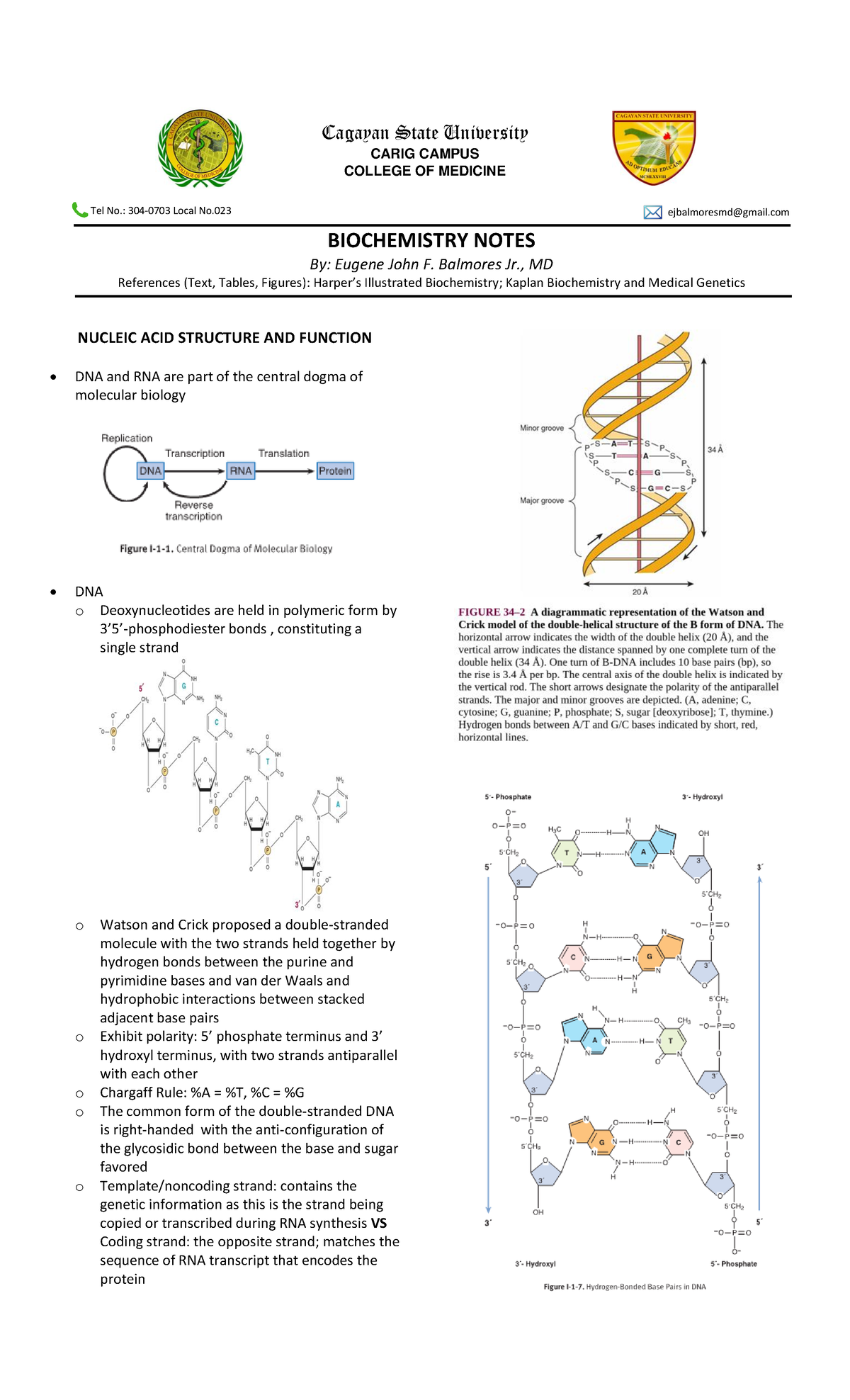 Nucleic Acid Structure and Function Cagayan State University CARIG CAMPUS COLLEGE OF MEDICINE