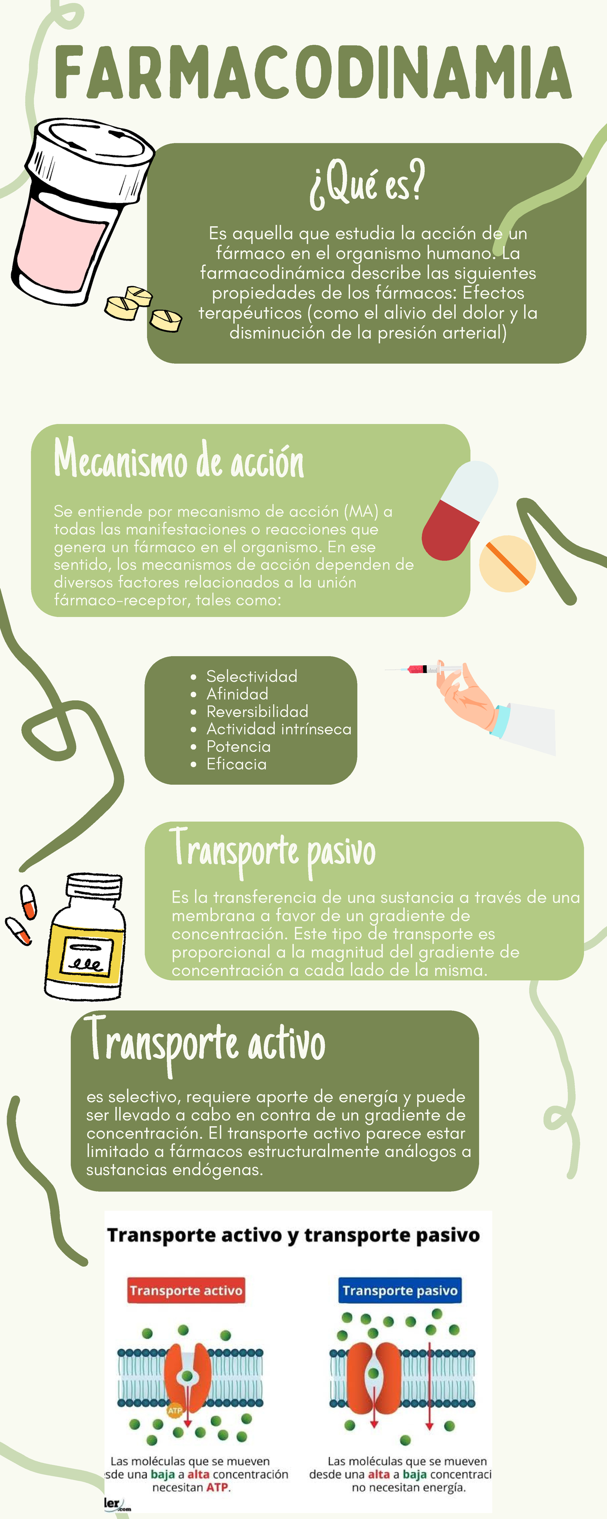 Infografia Farmacodinamia Farmacodinamia ¿qué Es Es Aquella Que