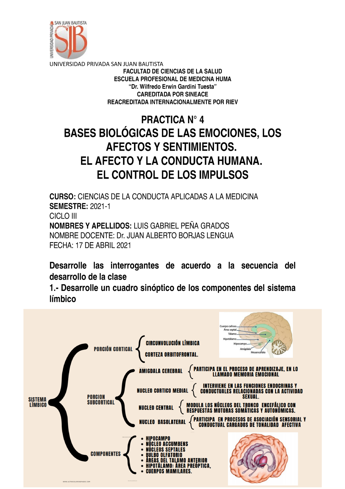 Practica N 4 Ciencias De La Conducta Aplicadas A La Medicina Universidad Studocu