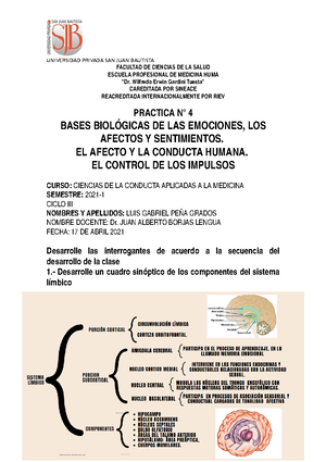 Practica N 4 Ciencias De La Conducta Aplicadas A La Medicina Universidad Studocu