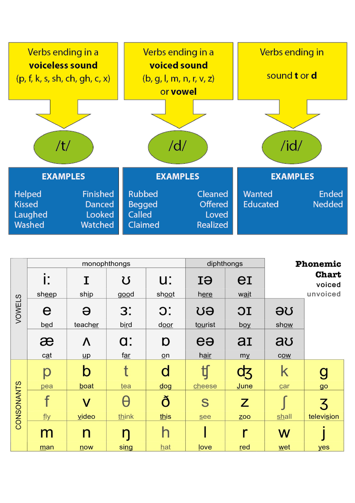 RESUMEN de Fonética y Fonología (vocales y consonantes) - ʊ uː Cook /k ...