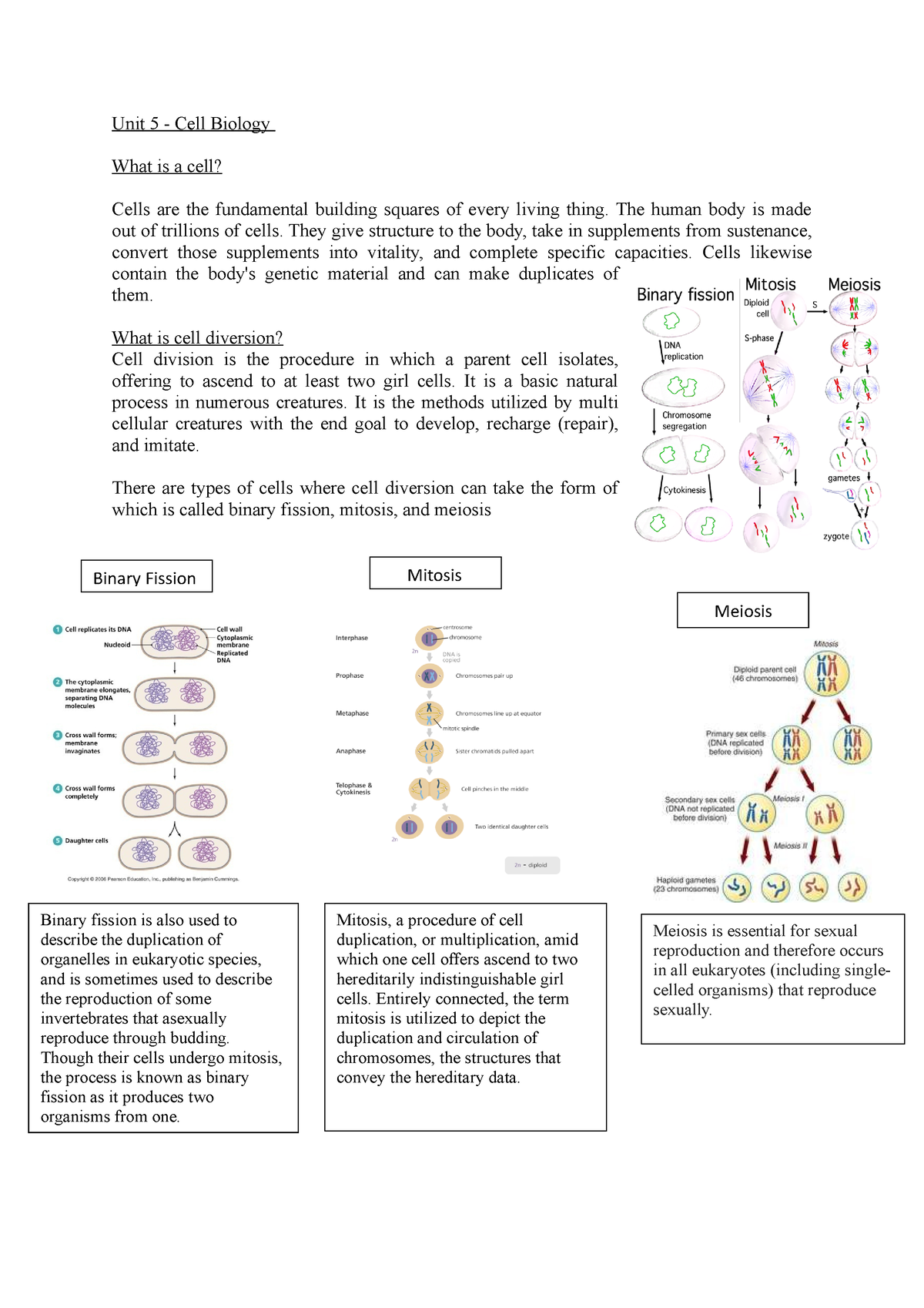 Unit 5 - Cell Biology Illustrated Report (2) (1) 1333191 706 - Unit 5 ...