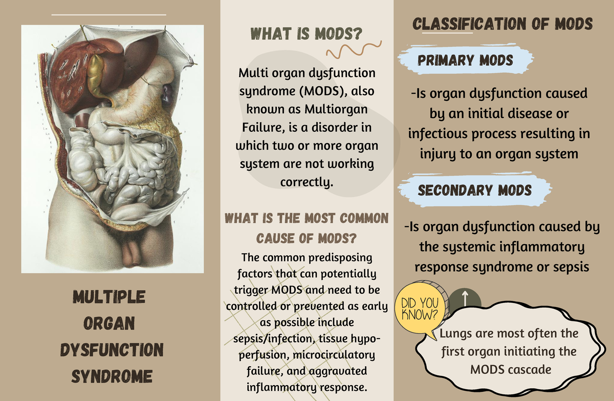 260AF722 F6FB 4108 97F6 CD13B6330046 - WHAT IS MODS? Multiple Organ ...