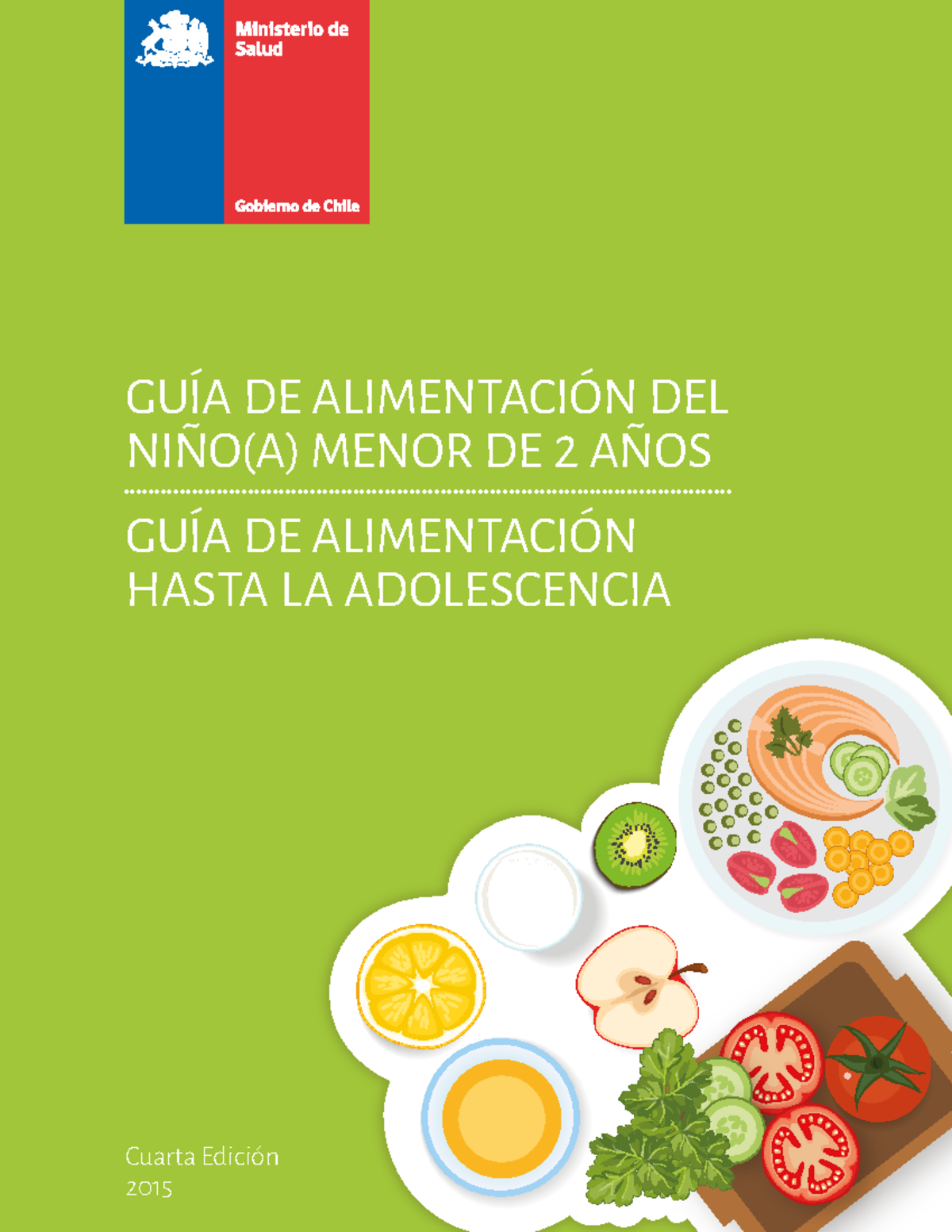 GuÍa Alimentacion Menores 2 AÑos Minsal GuÍa De AlimentaciÓn Del NiÑo