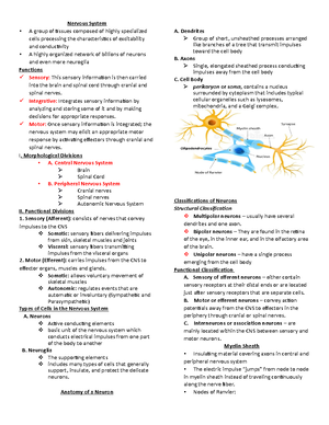 Anatomy Term 2 Midterm 1 - 1/ Organization of the nervous system and ...