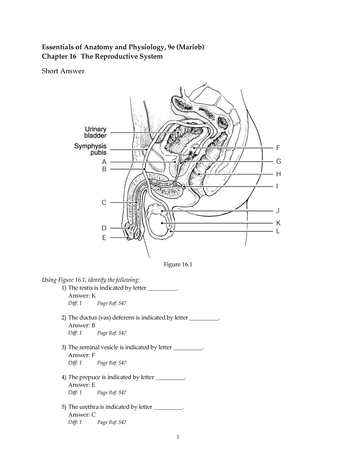 Chapter 16 Reproductive System Essentials Of Anatomy And Physiology 9e Marieb Chapter 16 