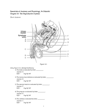 Dorsal Body Cavities - Human Anatomy and Physiology - Dorsal The dorsal ...