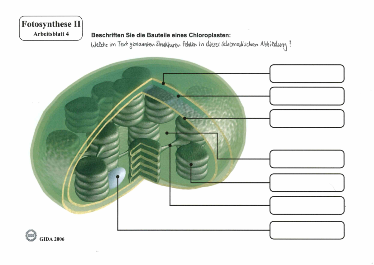 Bau Und Funktion Der Chloroplasten Arbeitsblatt 2 Lückentext Bau Chloroplasten - 0011 - Studocu