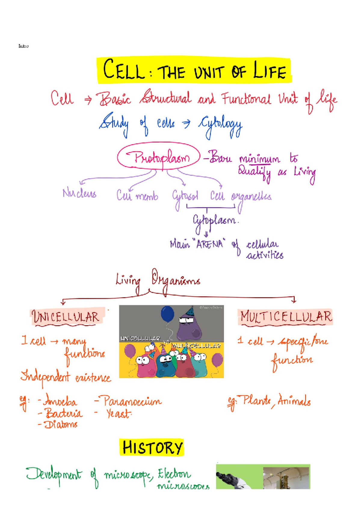 1.Cell-The Unit of Life - Biology HL - Studocu