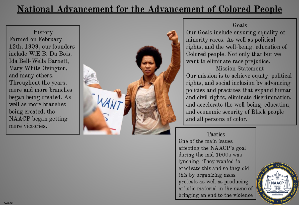 Interest Group Project - National Advancement for the Advancement of ...