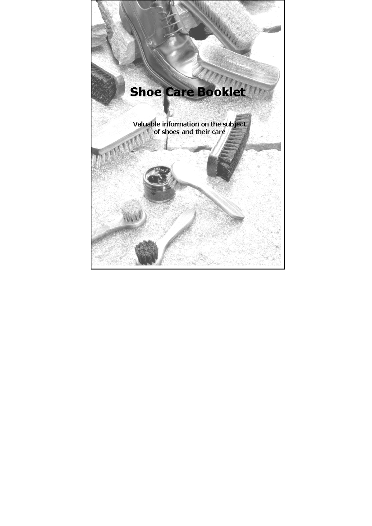 shoe-care-booklet-how-to-clean-shoes-shoe-care-booklet-valuable