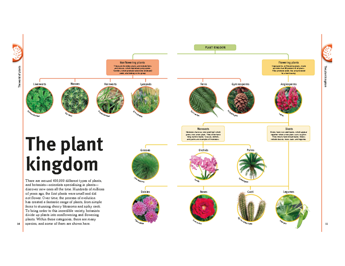 Plant Kingdom. Chapter 1 - 10 The world of plants These are the oldest ...