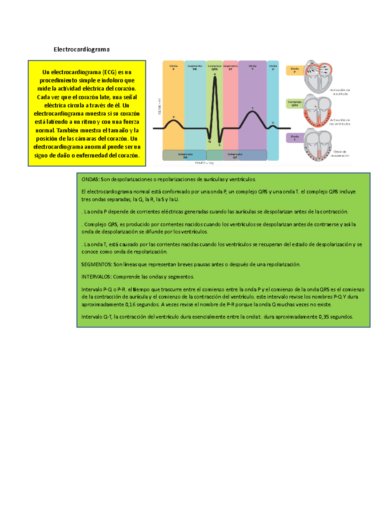 Electrocardiograma Normal - Electrocardiograma Un Electrocardiograma ...