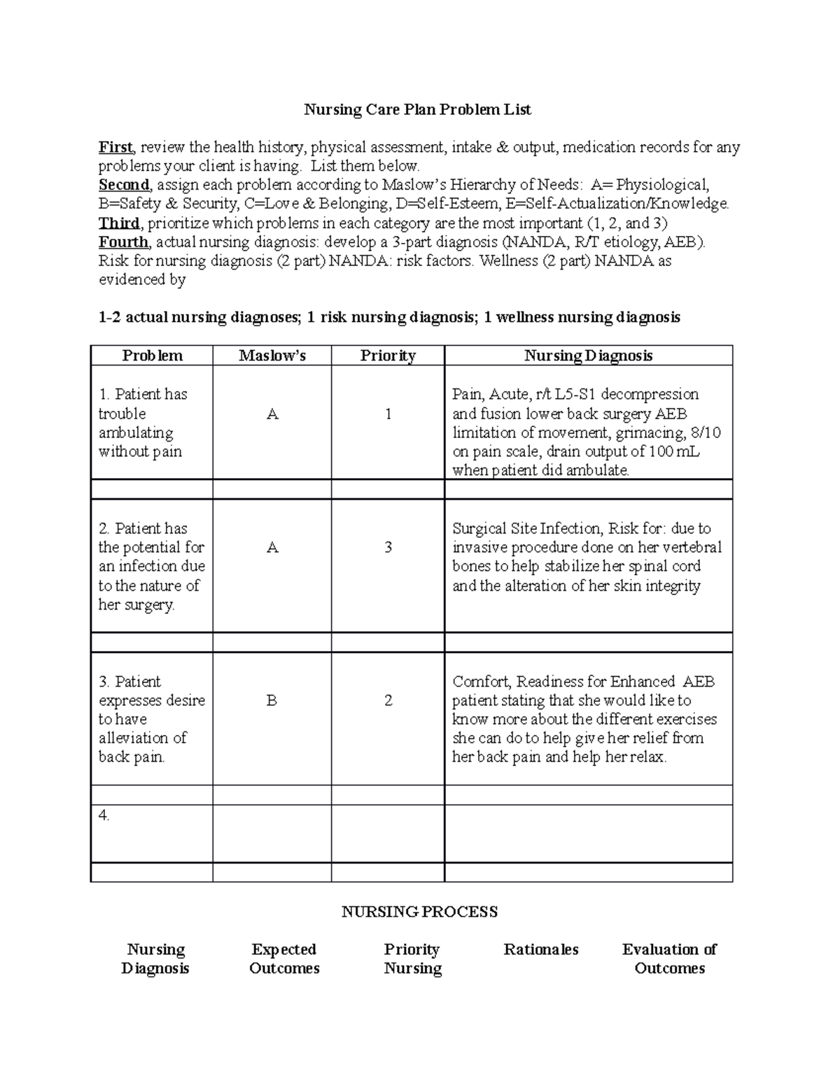 Nursing Care Plan sample - Nursing Care Plan Problem List First, review ...