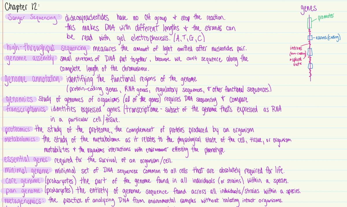 Chapter 12 Book Notes - BIOL14110AAA - Studocu