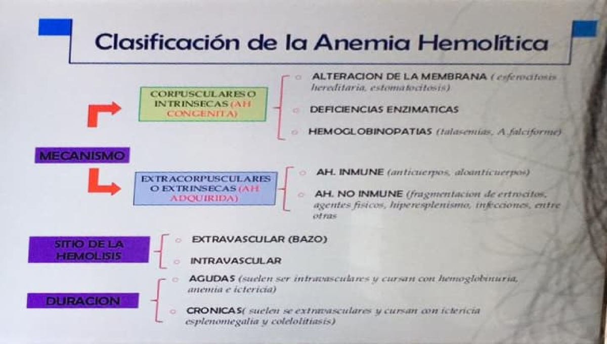 Anemia Hemolitica Asignatura De Hematologia Clasificación De La Anemia Hemolítica Mecanismo 9910