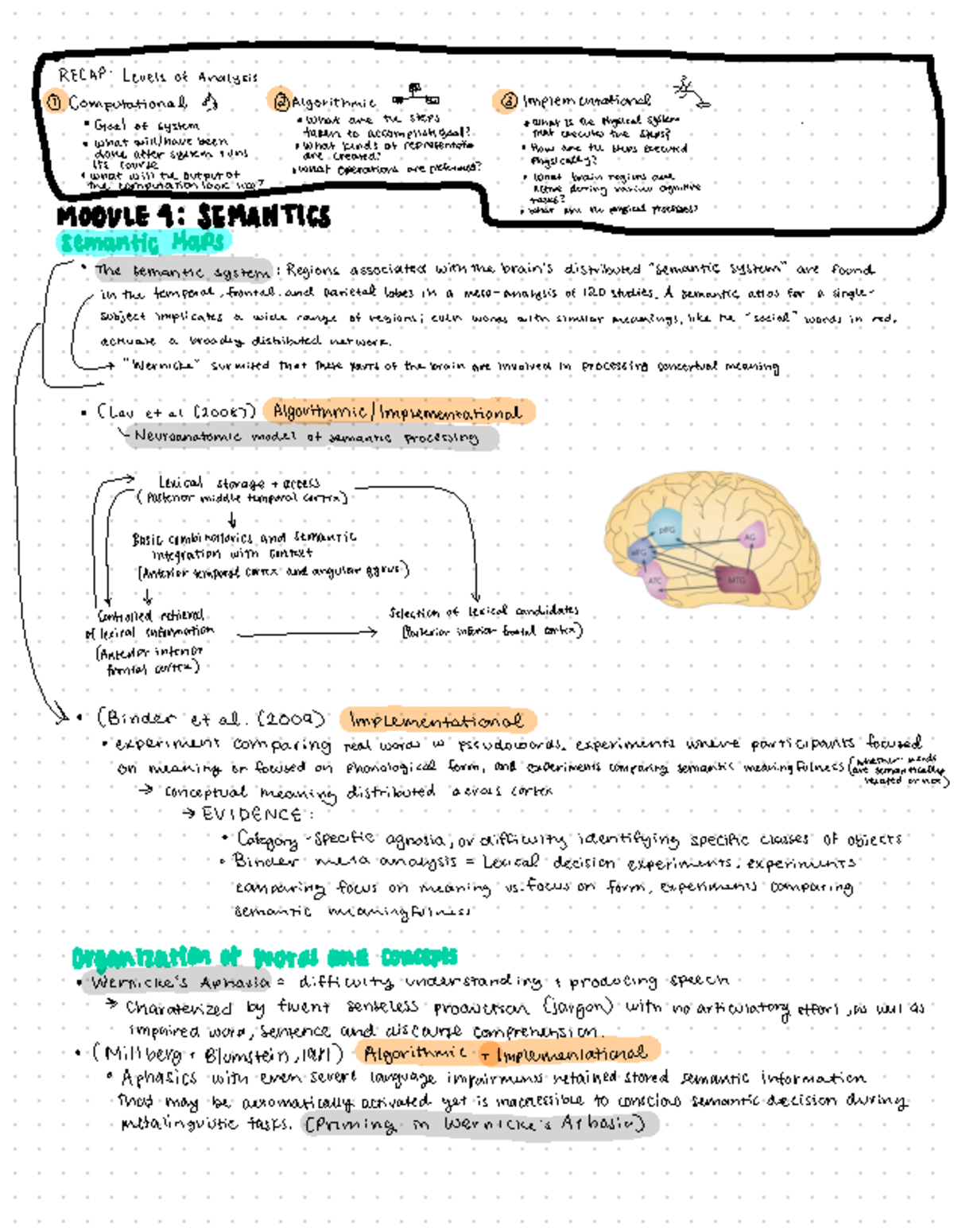 Untitled Notebook - lecture - RECAP : Levels of Analysis ① ...