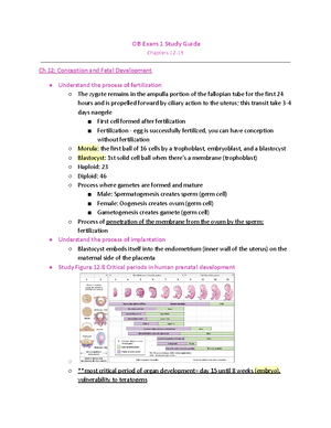 OB Exam 3 Study Guide - Exam 3 - OB Exam 3 Study Guide Chapters 23, 25 ...
