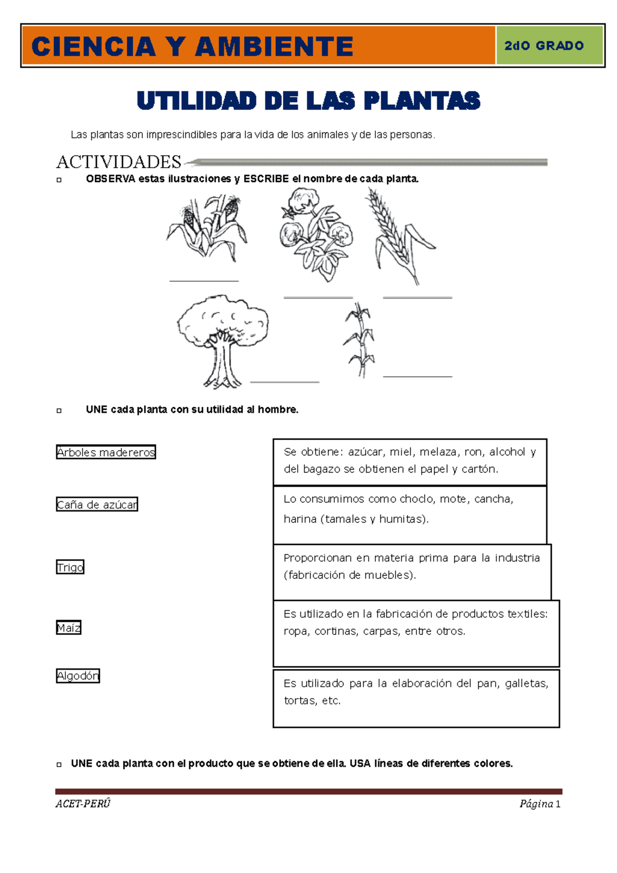 L3 CA 2P 2010 - TRILCE - CIENCIA Y AMBIENTE UTILIDAD DE LAS PLANTAS Las ...