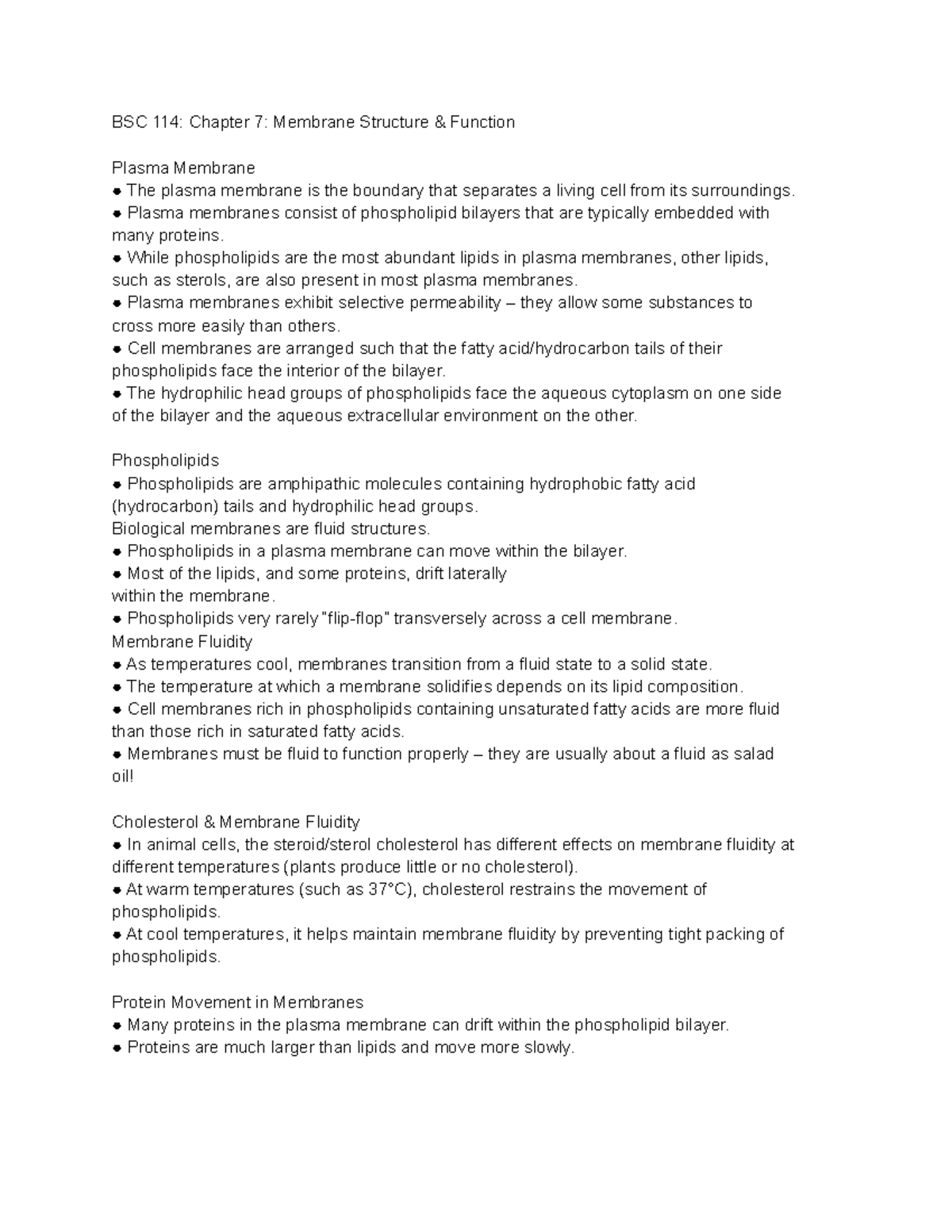 Quizlet Biology Chapter 7 - vuj65y5