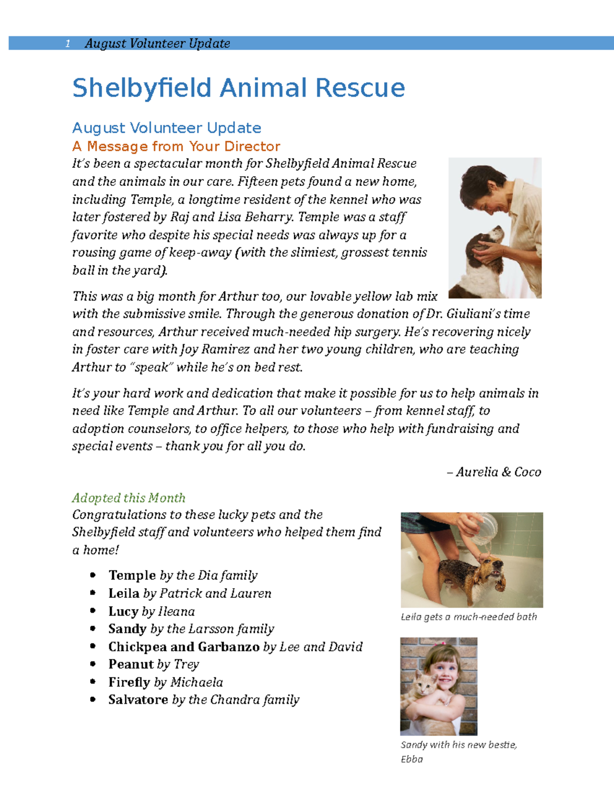 Word styles practice - IT EDU - Shelbyfield Animal Rescue August ...