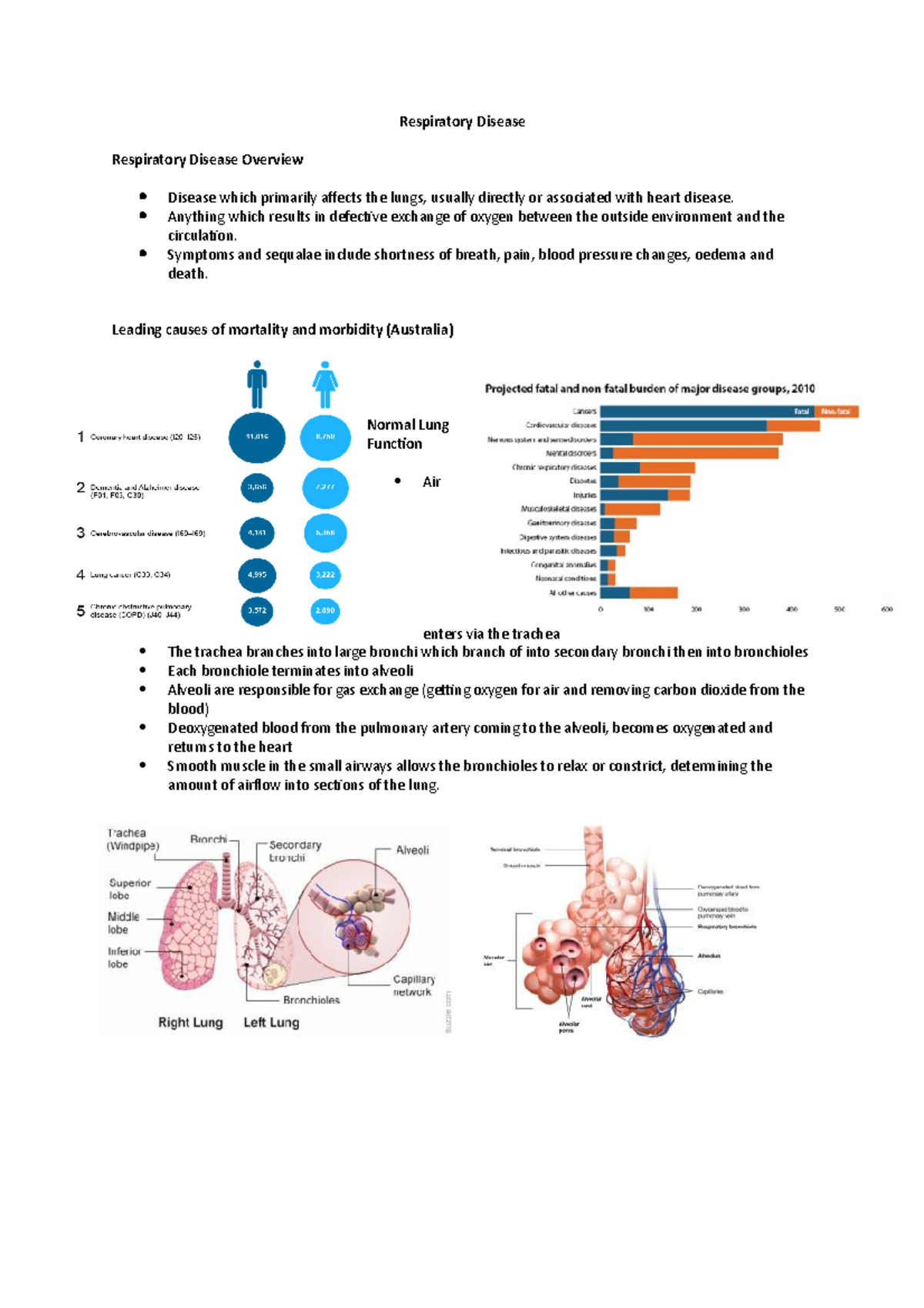 Respiratory Disease - Respiratory Disease Respiratory Disease Overview ...