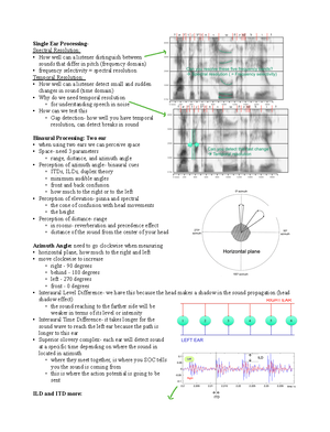Loudness Part 2 - lecture notes - Loudness Perception: Loudness vs ...