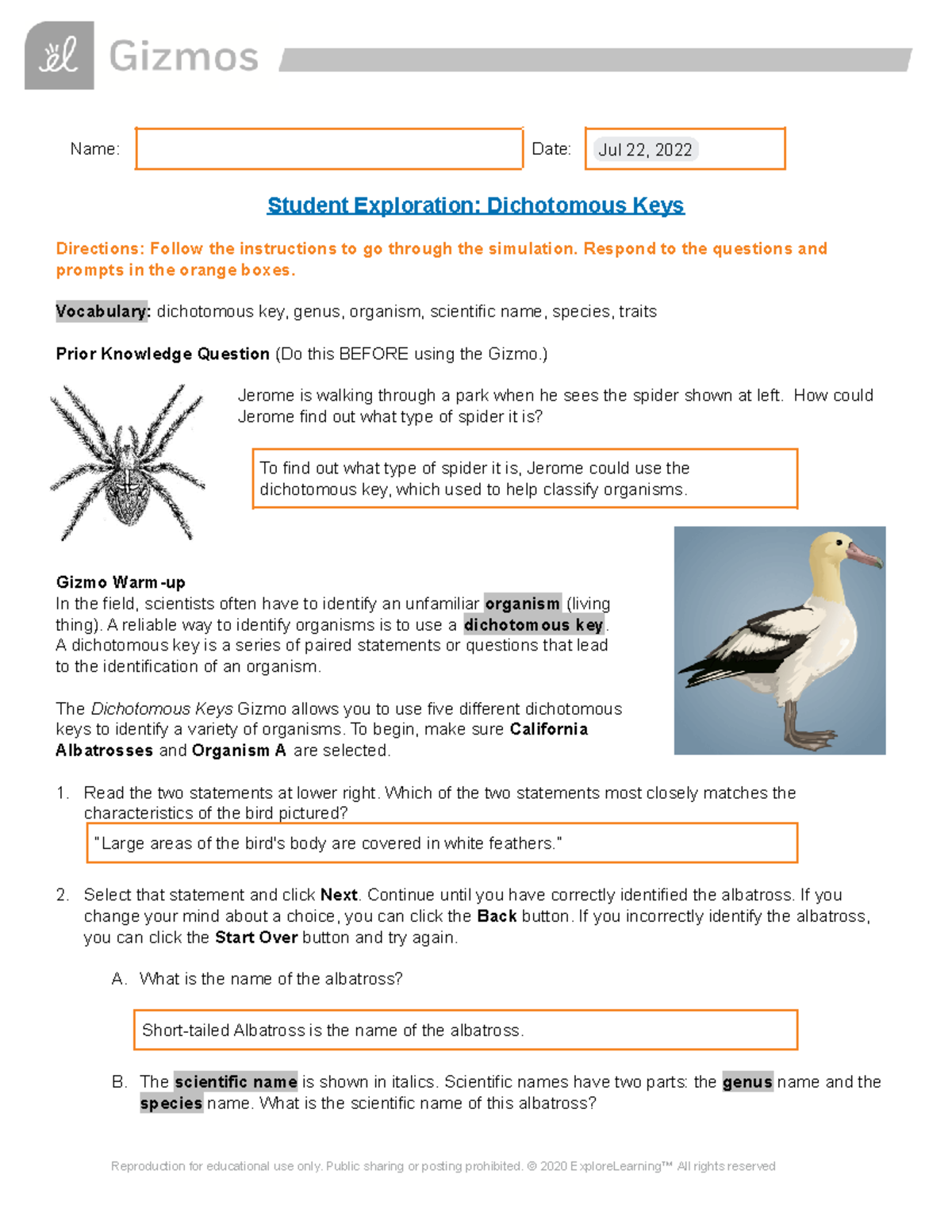 dichotomous-key-sbi3u-name-date-jul-22-2022-student-exploration