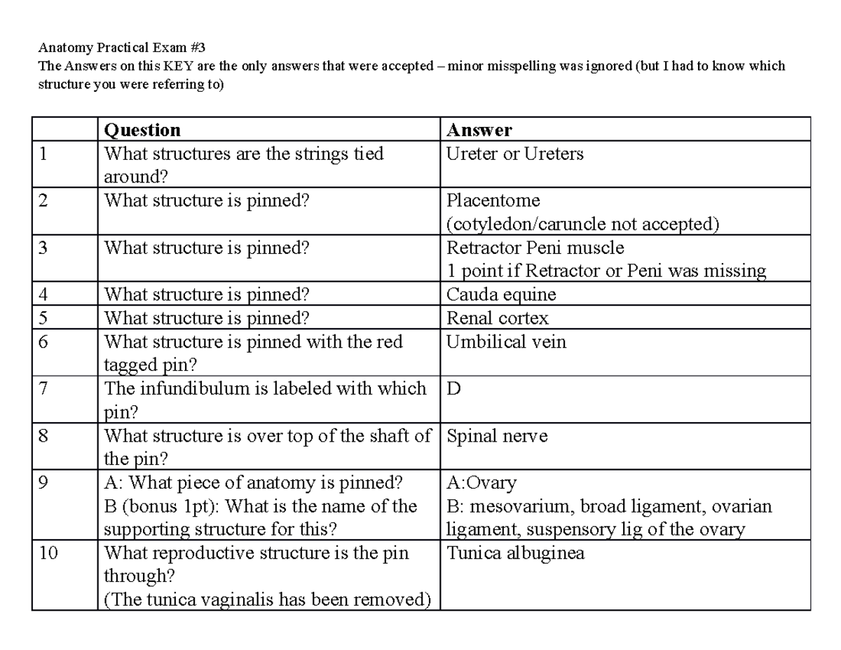 animal-nutrition-lab-practical-3-key-anatomy-practical-exam-the