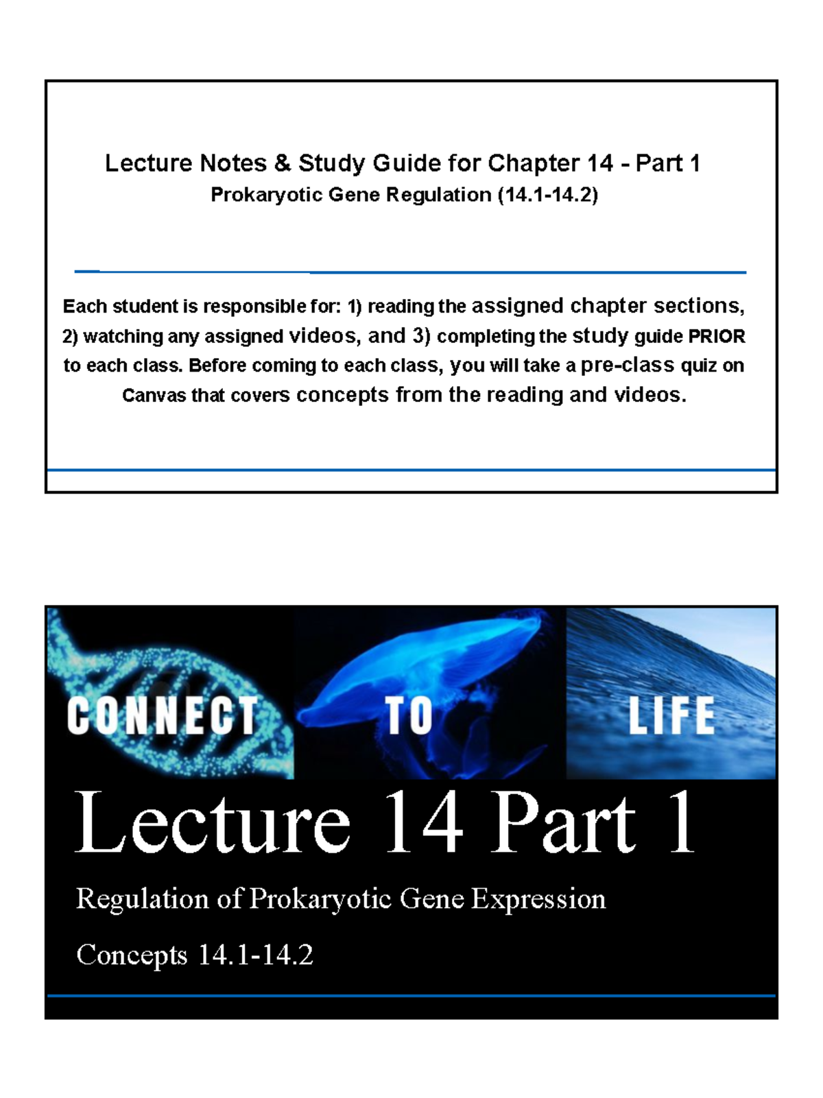 Chapter 14 Part 1 Worksheet And Study Guide Summary - Lecture Notes ...