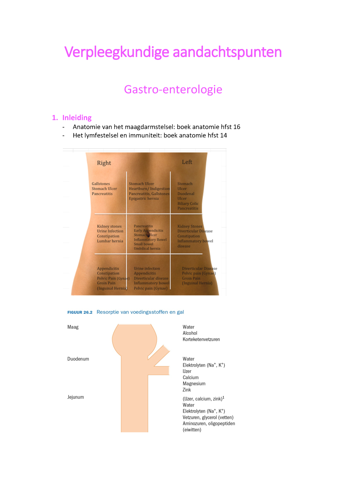 Vpk Aandachtspunten Gastro Intestinale - Verpleegkundige ...