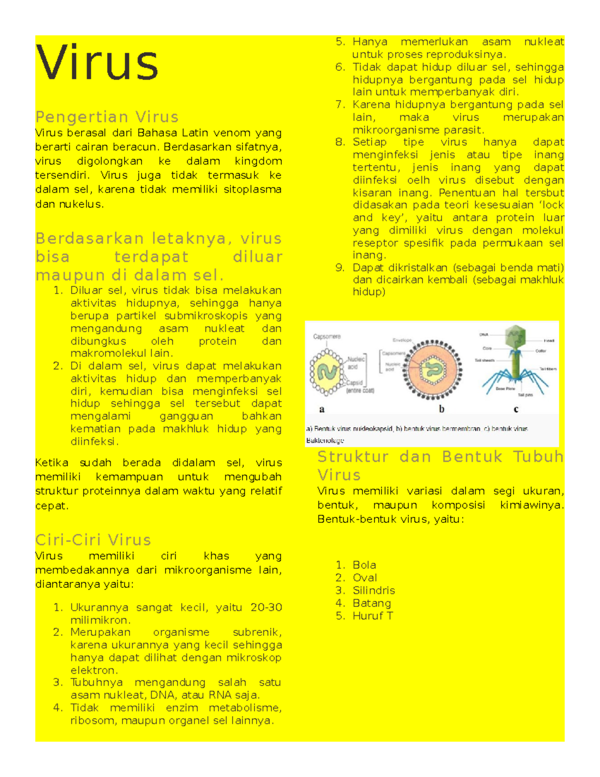 Virus Biology school notes Virus Pengertian Virus Virus berasal