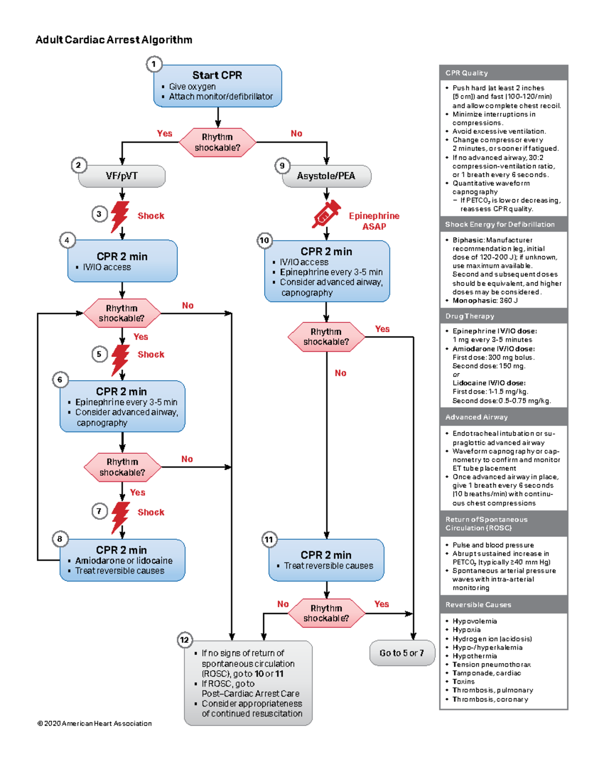 Adult Cardiac Arrest Algorithm - No Yes No Yes Yes No Yes No No Yes ...