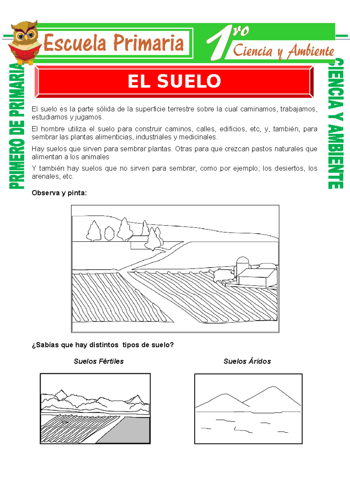El suelo para Primero de Primaria - Primero de Primaria El suelo es la ...