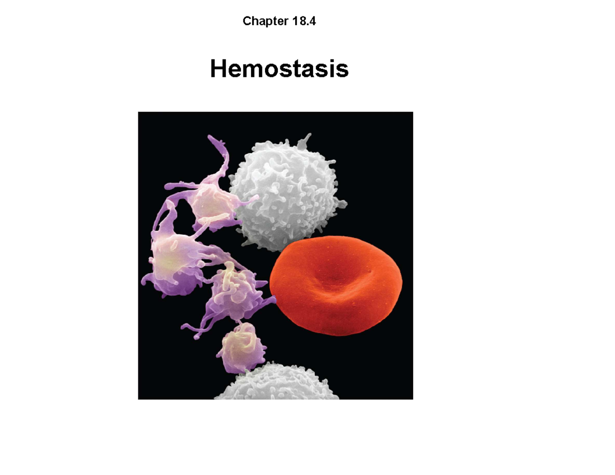 C18 4 Hemostasis F2019 - Bio - Chapter 18. Hemostasis Hemostasis ...