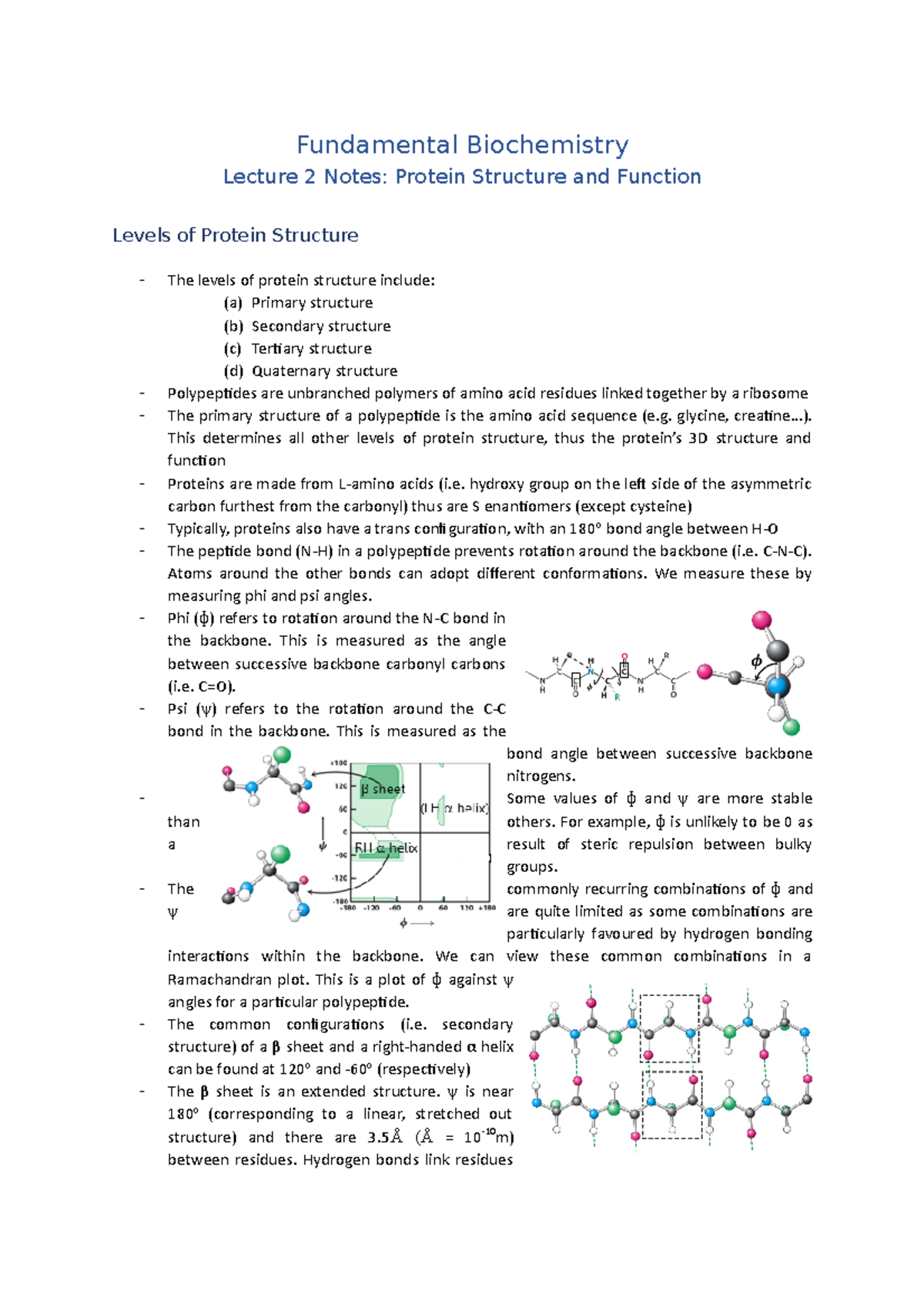 Lecture 2 Notes (Protein Structure And Function) - Fundamental ...