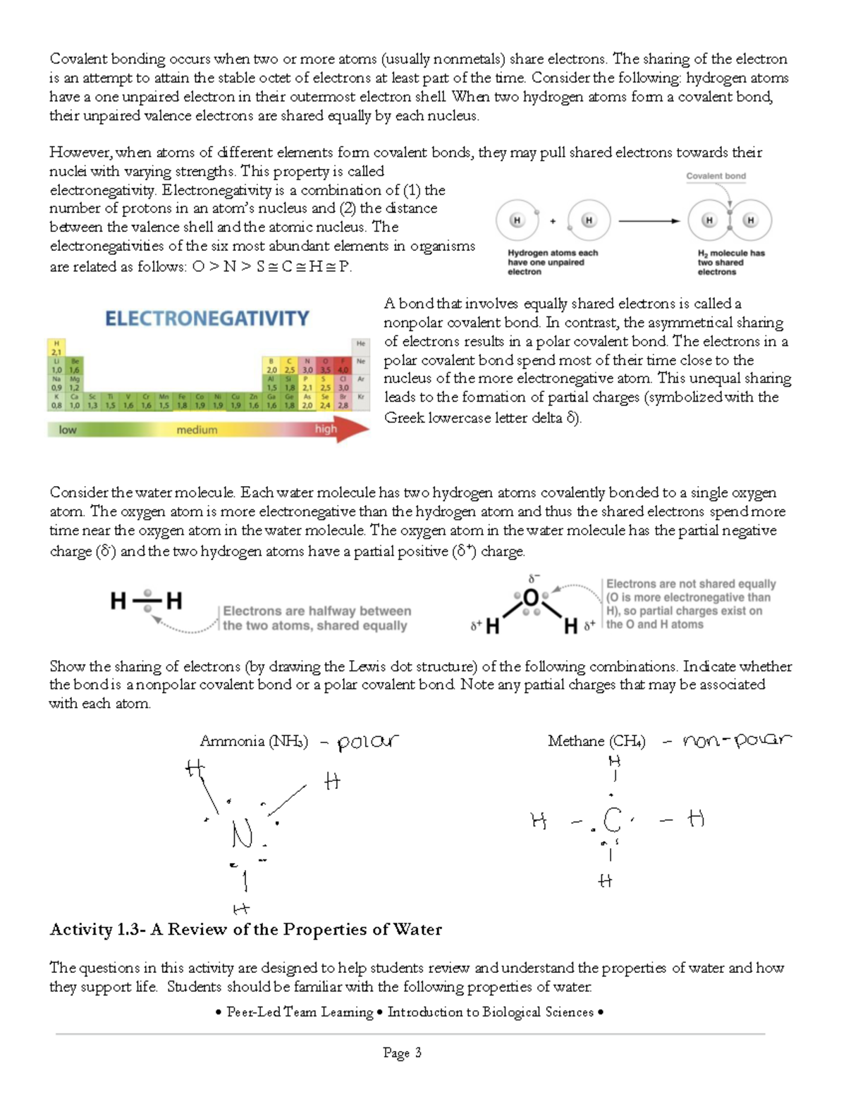 PeerLed Team Learning Module 1 page 3 PeerLed Team Learning