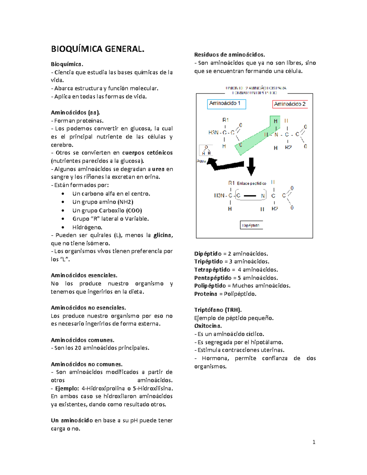 Manual De Apuntes De Bioquimica General - BIOQUÍMICA GENERAL ...