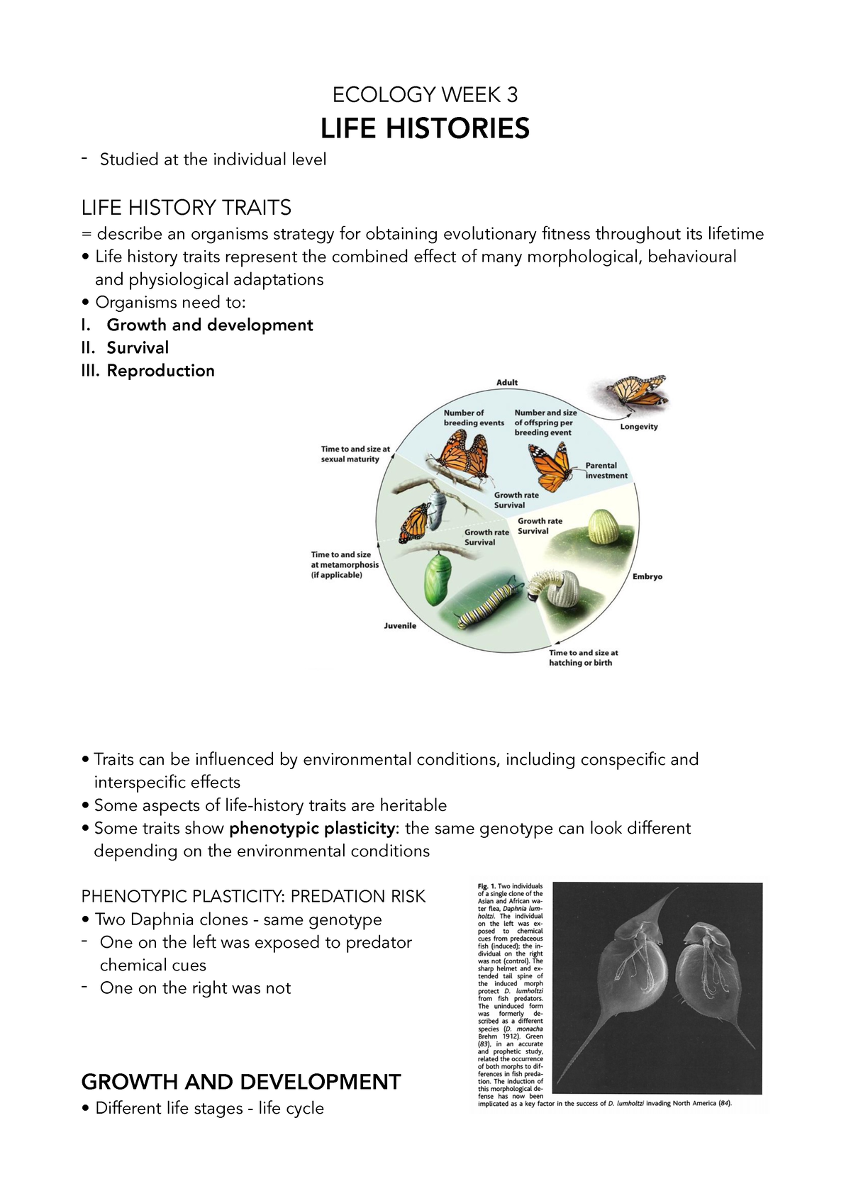 Life Histories - Lecture Notes From Week 3 On Ecology Module. - ECOLOGY ...