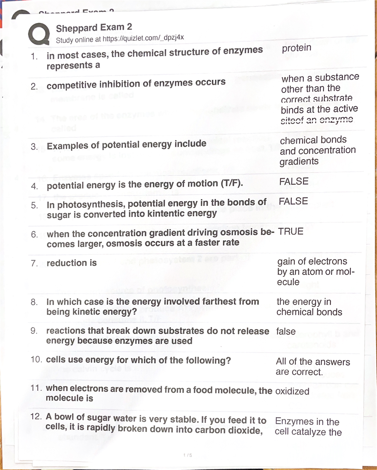 Shep Exam 2 Biology 101 - BIOL 101 (CBIO 1013) - Studocu