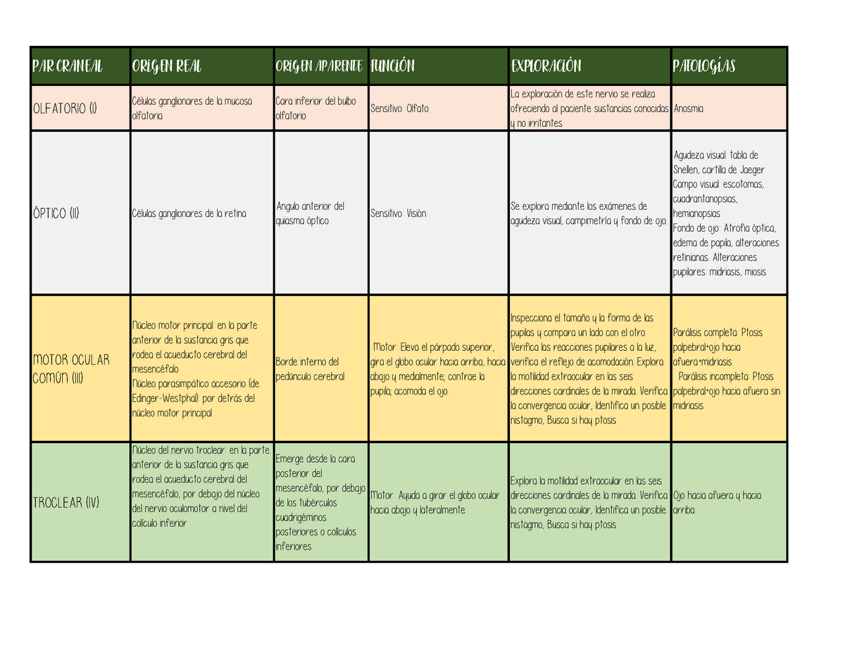 Cuadro Pares Craneales Par Craneal Origen Real Origen Aparente Funci N Exploraci N